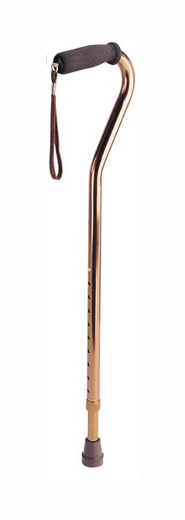 Cane  Offset Handle  Bronze