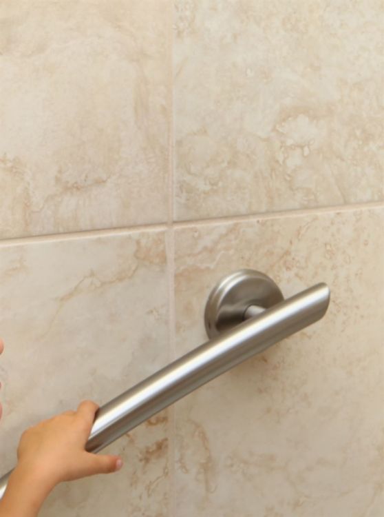 16" Curved Grab Bar (Brushed Nickel)