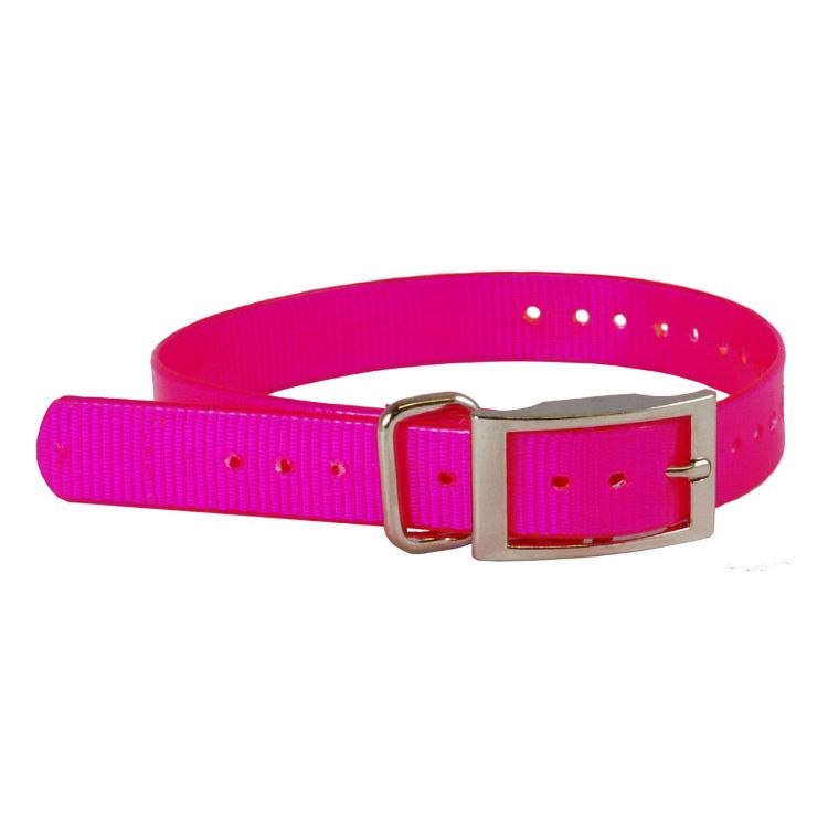 The Buzzard's Roost Collar Strap 1" Pink 1" x 24"