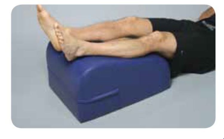 Therapy Wedge 