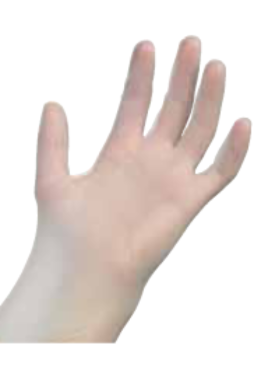 Examination Grade Vinyl Gloves Powder Free -Large