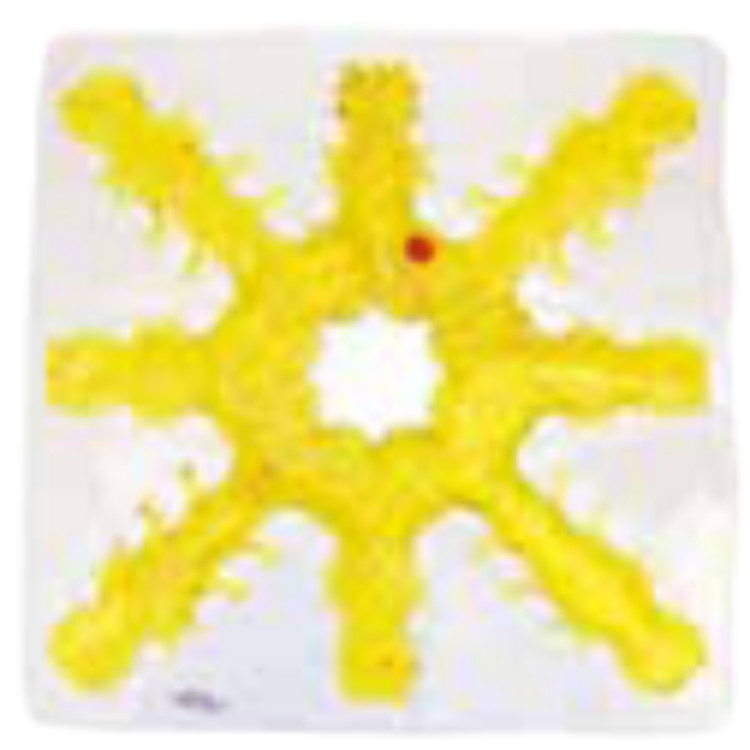 Light Box Gel-Maze Series: 8 Spoke Snow Flake - Red 
