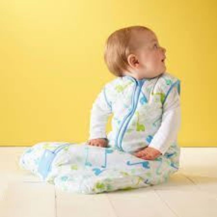 GROBAG - Baby Sleeping Bags For Travel Little Dino