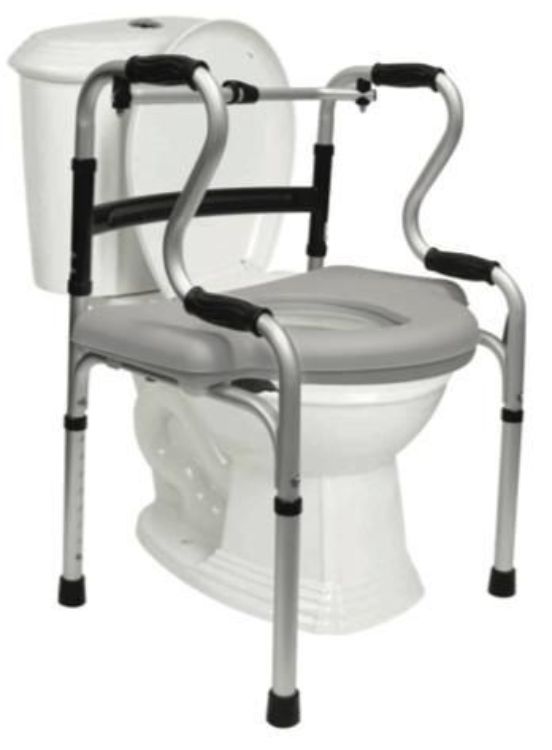 5-in-1 Mobility & Bathroom Aid