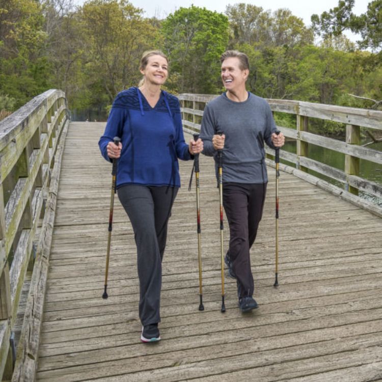 Summit Walking Poles