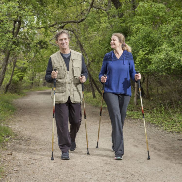 Summit Walking Poles