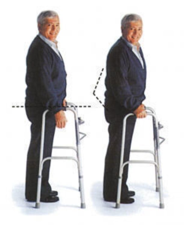 MEDLINE FOLDING WALKER FOR ADULT