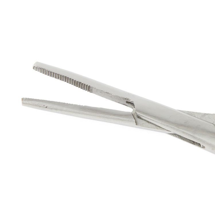 Medline Kelly Forceps