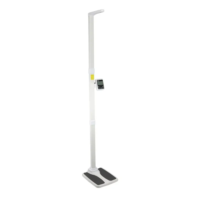 Professional Office Scale
