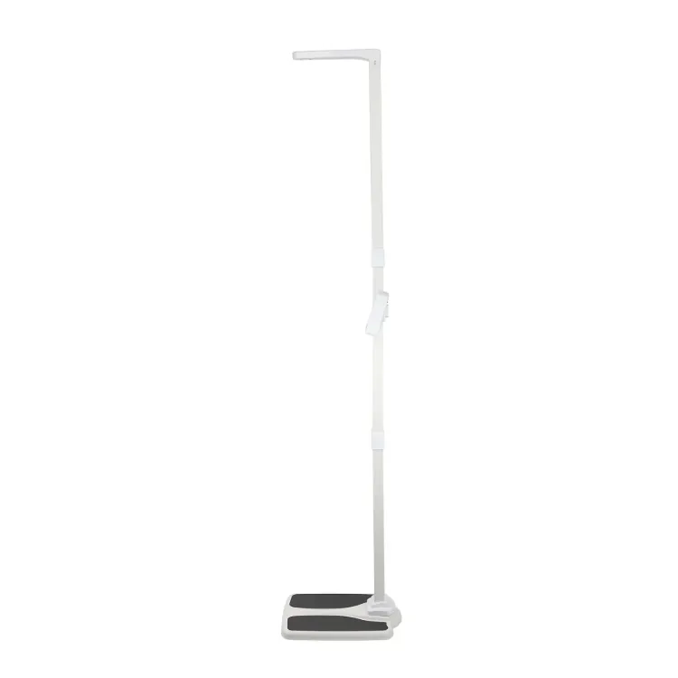 Professional Office Scale