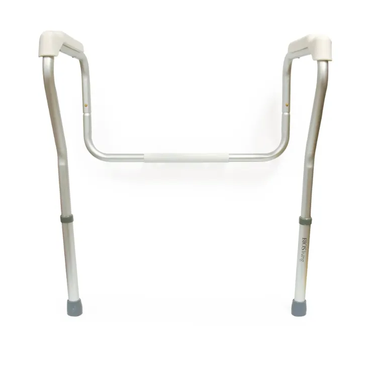 Toilet Safety Frame