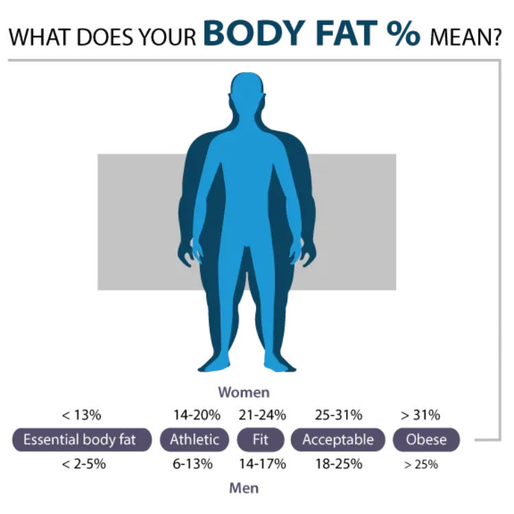Glass Lithium Body Fat Scale