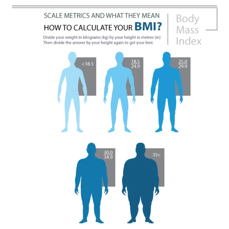 Glass Lithium Body Fat Scale