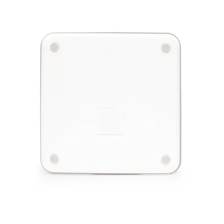 Metallic Digital Scale
