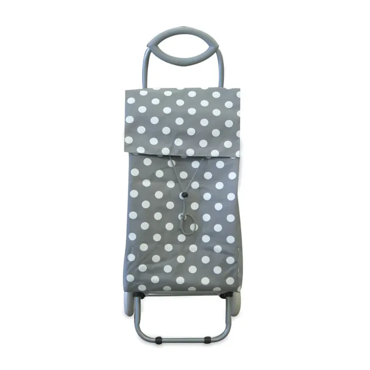 Rolling Shopping Cart
