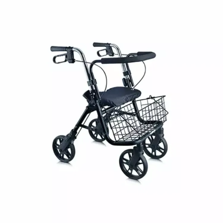 evolution series walker