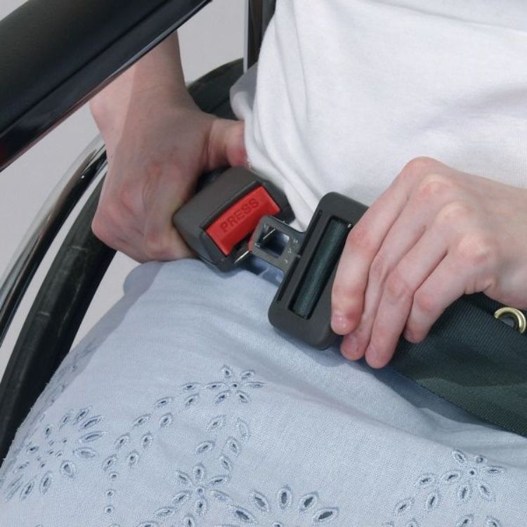 Replacement belt for Buckled Seat Belt