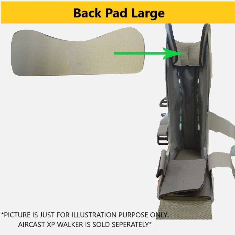 Back Pad Large